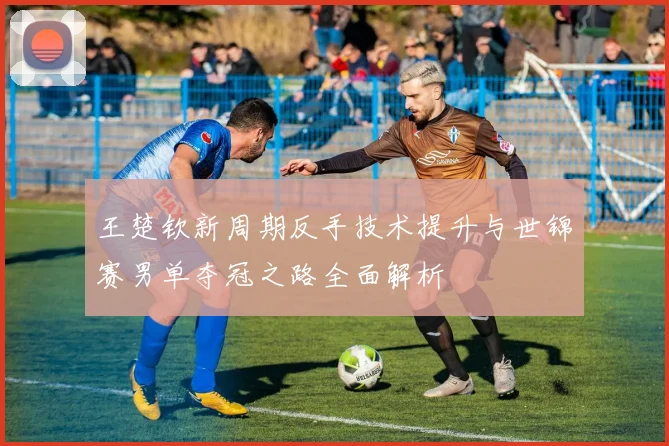 王楚钦新周期反手技术提升与世锦赛男单夺冠之路全面解析